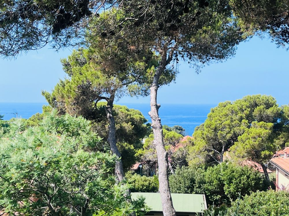 Appartamento Trilocale Quercianella in vendita con balcone vista mare